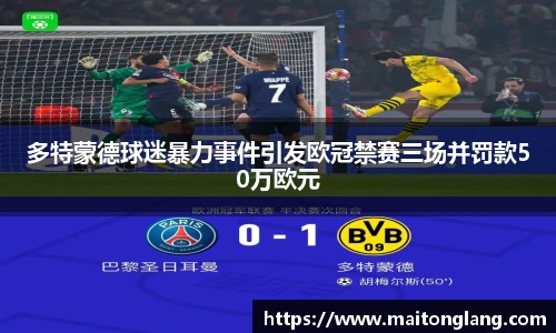 多特蒙德球迷暴力事件引发欧冠禁赛三场并罚款50万欧元
