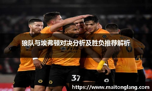 狼队与埃弗顿对决分析及胜负推荐解析