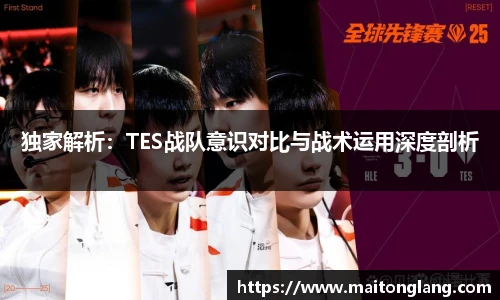 独家解析：TES战队意识对比与战术运用深度剖析